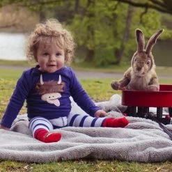 Blade & Rose Highland Cow Socks