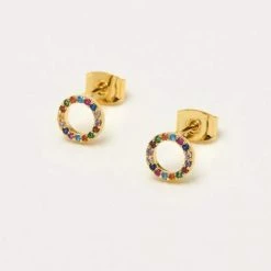 Lilac Rose Rainbow Circle Gold Earrings