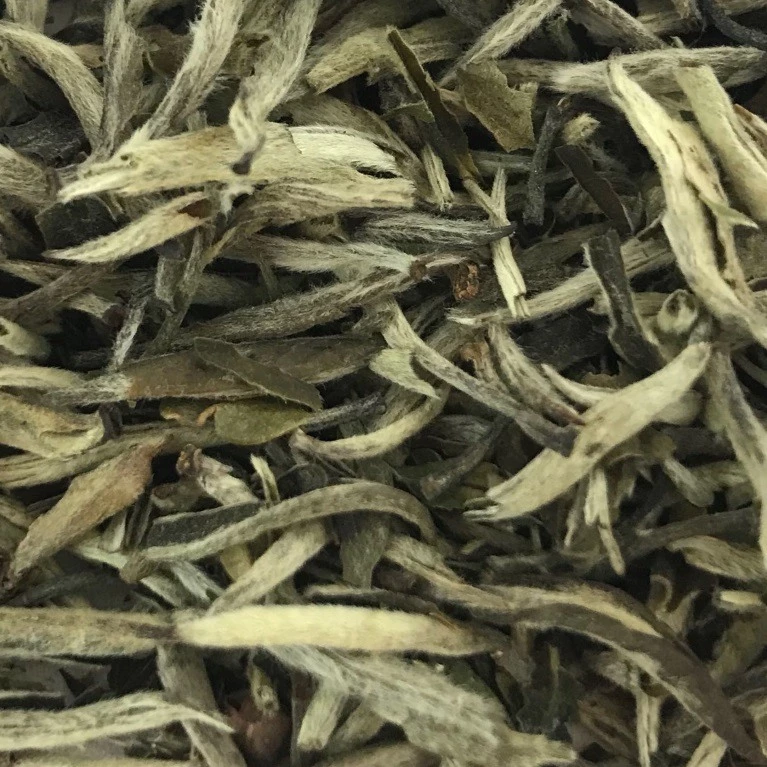 Eteaket Loose Leaf Tea Chest | The Coveted Collection 7 Eteaket Loose Leaf Tea Chest | The Coveted Collection